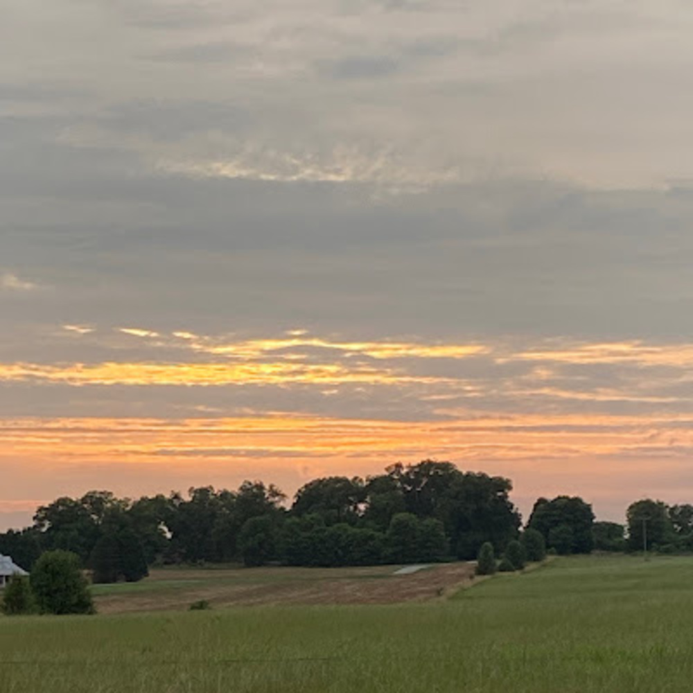 Meet your Posher, Lilly